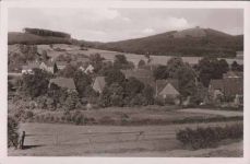 niese-4.jpg Bild: niese-4.jpg