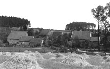 Bild: biesen.jpg
