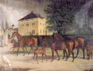 Bild: lopshorn-2.jpg