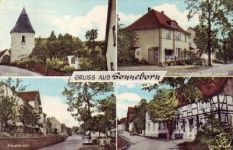 Bild: sonneborn-2.jpg