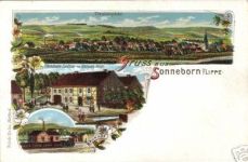 Bild: sonneborn-3.jpg