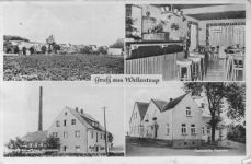 Bild: wellentrup-blo-2.jpg